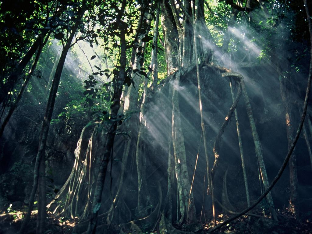 云南旅游，西双版纳