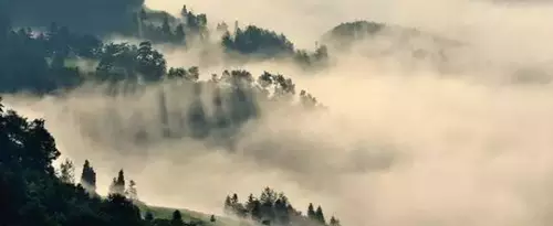 金佛山上感受仙气氤氲