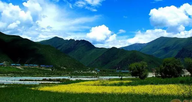 幽谷秘境，花香满溢