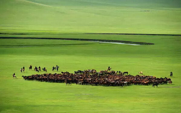 亚洲第一湿地景区——额尔古纳湿地