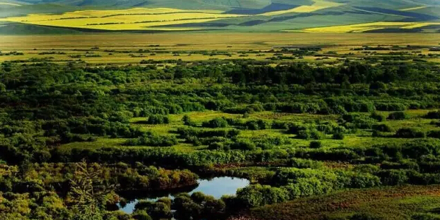 感受东亚之窗的异域风情——满洲里