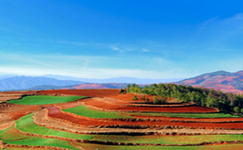 云南东川红土地