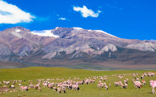 巴音布鲁克草原