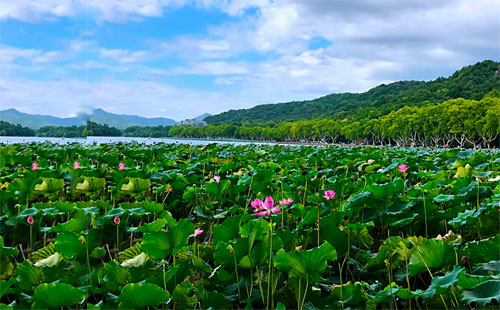 杭州西湖1
