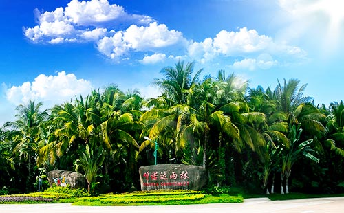 呀诺达热带雨林1