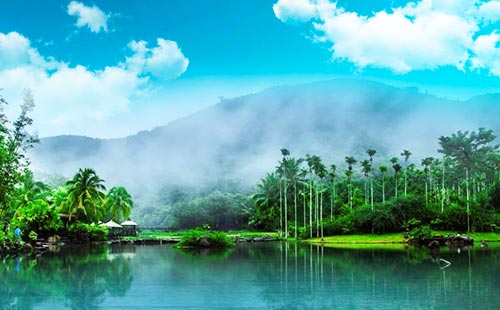 呀诺达热带雨林2