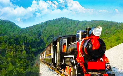 斯里兰卡高山小火车1