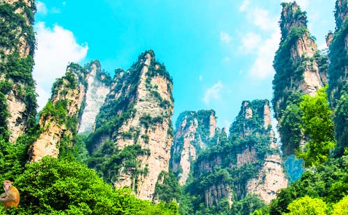 张家界森林公园