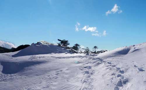 昆明轿子山风景区