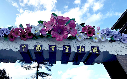 贵州百里杜鹃风景区2