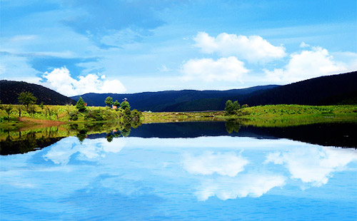 普达措森林公园1