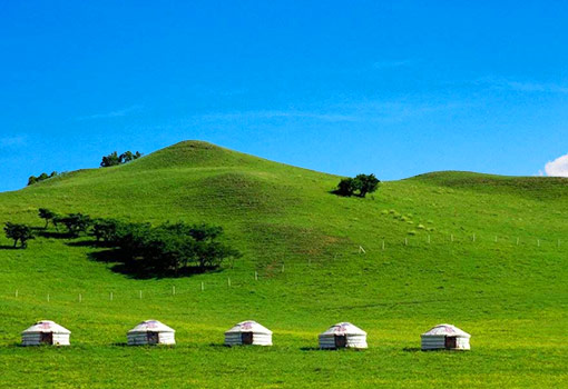 乌兰布统大草原2