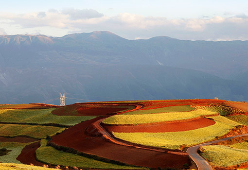 东川红土地景区2