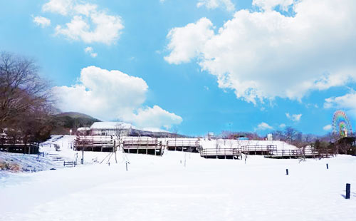 内蒙古冬季旅游