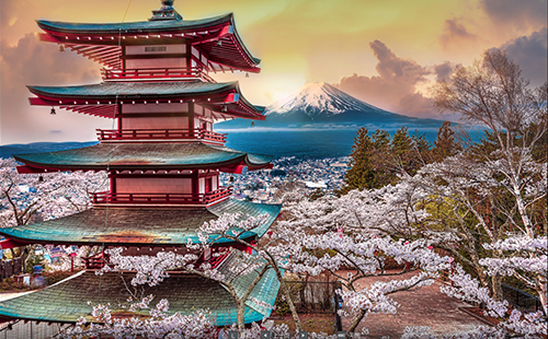 日本富士山樱花
