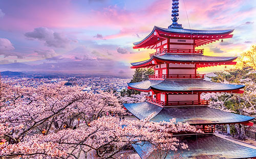 日本富士山樱花