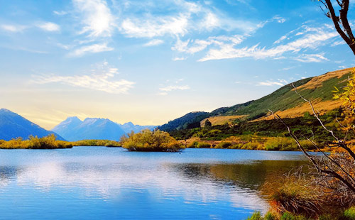 新西兰格林诺奇2