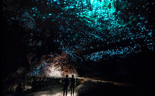 新西兰怀多摩萤火虫洞3