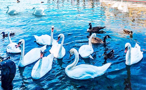 英国温德米尔湖区