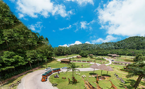 广东长隆野生动物园