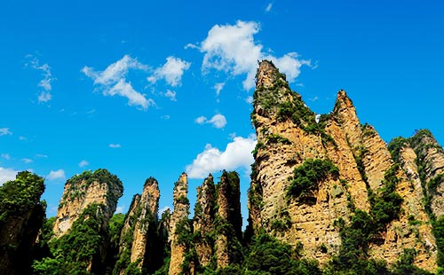 张家界国家森林公园1