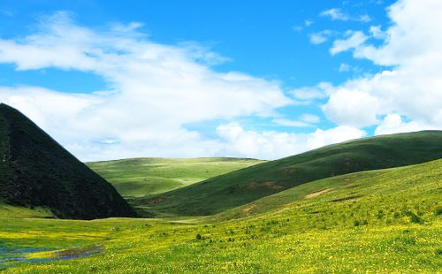 四川理塘毛垭大草原