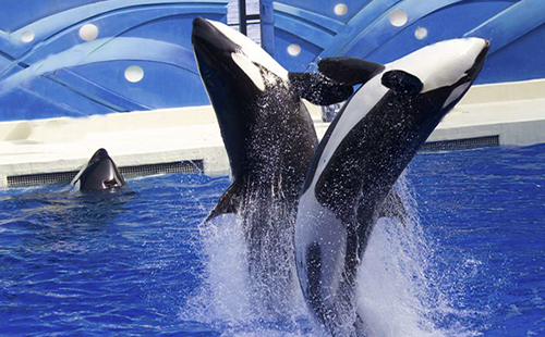 河南海昌海洋探索馆2