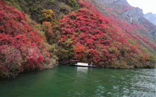三峡红叶景色