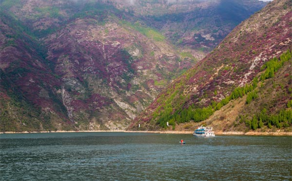 三峡红叶